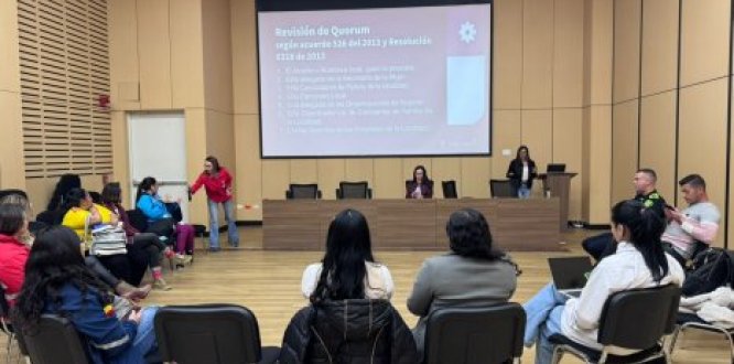 Consejo Local de Mujeres de Usme